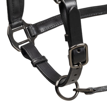 Caveção de couro Equestro anatómico Diamond Preto Caveção de couro Equestro anatómico Diamond Preto