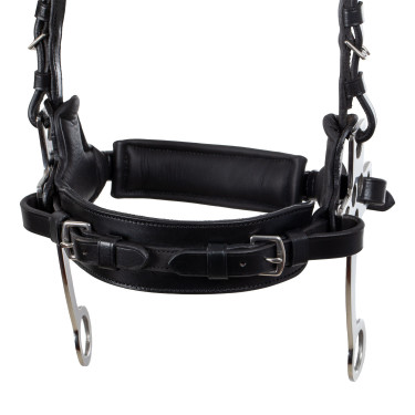 Bridão hackamore Supreme Preto Bridão hackamore Supreme Preto