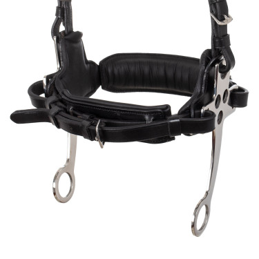Bridão hackamore Supreme Preto Bridão hackamore Supreme Preto