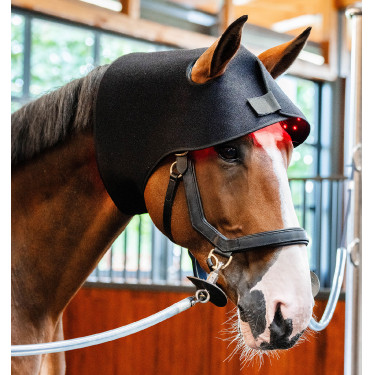 Touca de Terapia por Luz Vermelha LED Horseware Preto / preto Touca de Terapia por Luz Vermelha LED Horseware Preto / preto