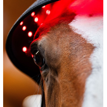 Touca de Terapia por Luz Vermelha LED Horseware Preto / preto Touca de Terapia por Luz Vermelha LED Horseware Preto / preto