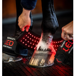 Mini Galocha de Terapia Horseware com Luz Vermelha LED Preto / preto