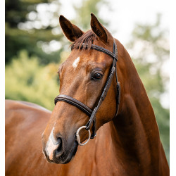 Bridão Horseware Hunter Castanho / havana Bridão Horseware Hunter Castanho / havana
