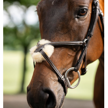 Bridle Grackle em forma de 8 Horseware muserola cruzada Castanho