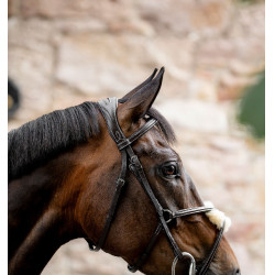 Bridle Grackle em forma de 8 Horseware muserola cruzada Castanho
