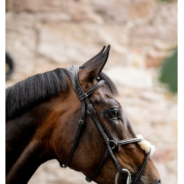 Bridle Grackle em forma de 8 Horseware muserola cruzada Castanho