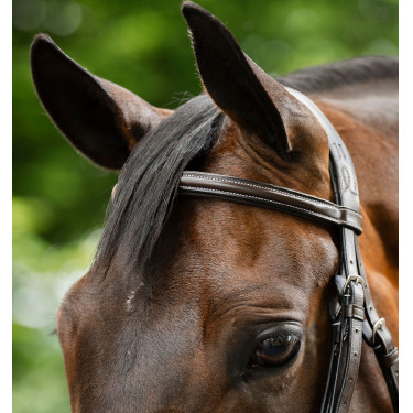 Bridle Grackle em forma de 8 Horseware muserola cruzada Castanho