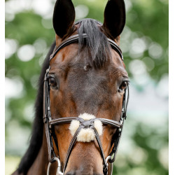 Bridle Grackle em forma de 8 Horseware muserola cruzada Castanho