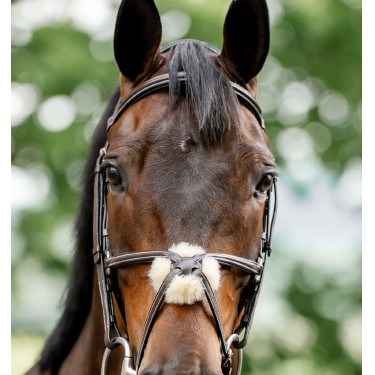 Bridle Grackle em forma de 8 Horseware muserola cruzada Castanho