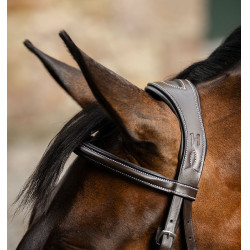 Bridle Grackle em forma de 8 Horseware muserola cruzada Castanho