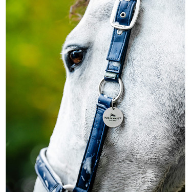 Caveção de limpeza Horseware Marinho Azul-marinho