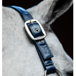 Caveção de limpeza Horseware Marinho Azul-marinho