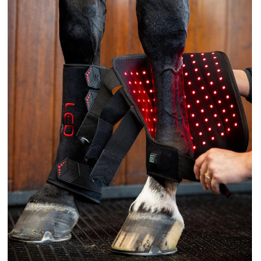 Guêtres de terapia Horseware com luzes LED vermelhas Preto / preto