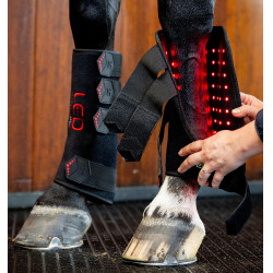 Guêtres de terapia Horseware com luzes LED vermelhas Preto / preto