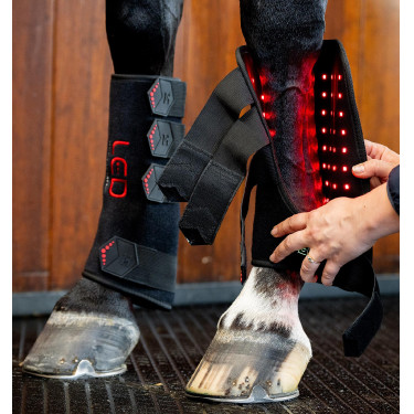 Guêtres de terapia Horseware com luzes LED vermelhas Preto / preto