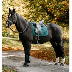 Manta de dressage Horseware Dinastia verde Manta de dressage Horseware Dinastia verde