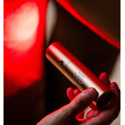 Caneta de terapia LED vermelho para equitação Horseware