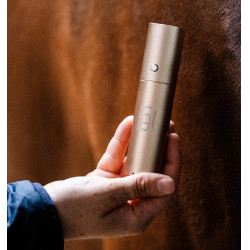 Caneta de terapia LED vermelho para equitação Horseware