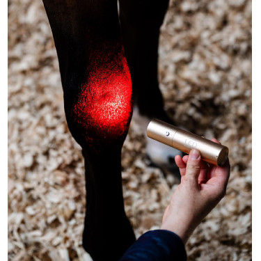 Caneta de terapia LED vermelho para equitação Horseware