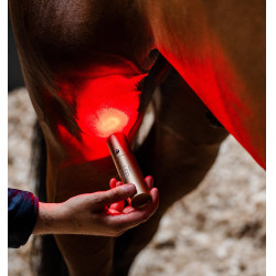 Caneta de terapia LED vermelho para equitação Horseware