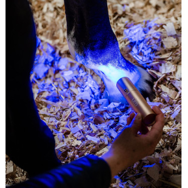 Caneta de terapia LED vermelho para equitação Horseware