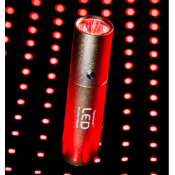 Caneta de terapia LED vermelho para equitação Horseware