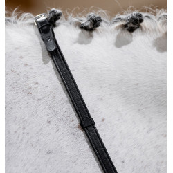 Rendas de salto Horseware com batentes Castanho