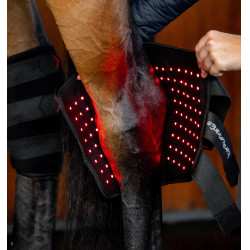 Proteção de curvilhão de terapia Horseware com luz LED vermelha Preto / preto Proteção de curvilhão de terapia Horseware com luz LED vermelha Preto / preto