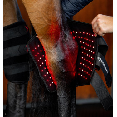 Proteção de curvilhão de terapia Horseware com luz LED vermelha Preto / preto Proteção de curvilhão de terapia Horseware com luz LED vermelha Preto / preto