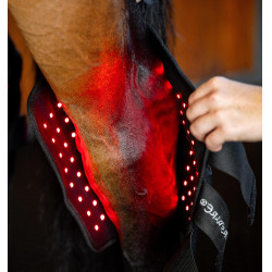 Proteção de curvilhão de terapia Horseware com luz LED vermelha Preto / preto Proteção de curvilhão de terapia Horseware com luz LED vermelha Preto / preto