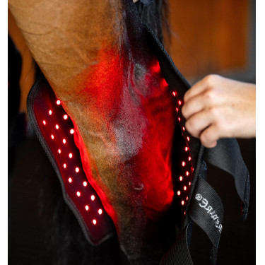 Proteção de curvilhão de terapia Horseware com luz LED vermelha Preto / preto Proteção de curvilhão de terapia Horseware com luz LED vermelha Preto / preto