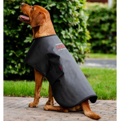 Casaco terapêutico LED para cão Horseware – equitação