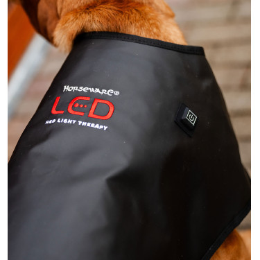 Casaco terapêutico LED para cão Horseware – equitação