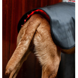 Casaco terapêutico LED para cão Horseware – equitação
