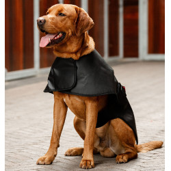Casaco terapêutico LED para cão Horseware – equitação