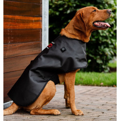 Casaco terapêutico LED para cão Horseware – equitação