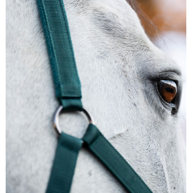 Caveção e guia Horseware Dinastia verde