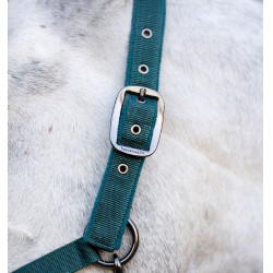 Caveção e guia Horseware Dinastia verde