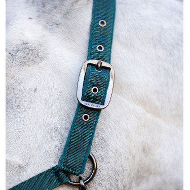 Caveção e guia Horseware Dinastia verde