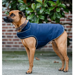 Capa de chuva para cão Horseware 100g equitação