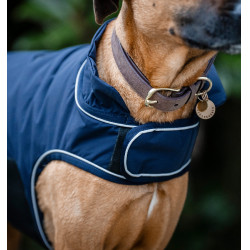 Capa de chuva para cão Horseware 100g equitação