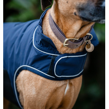 Capa de chuva para cão Horseware 100g equitação