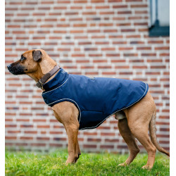 Capa de chuva para cão Horseware 100g equitação