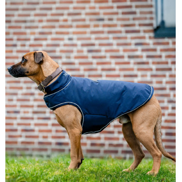 Capa de chuva para cão Horseware 100g equitação