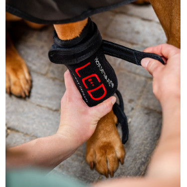 Terapia de luz vermelha para cães Horseware – equitação Terapia de luz vermelha para cães Horseware – equitação