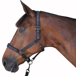 Conjunto de Cilha + Rédea Canter Conjunto de Cilha + Rédea Canter
