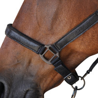 Conjunto de Cilha + Rédea Canter Preto Conjunto de Cilha + Rédea Canter Preto