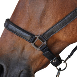 Conjunto de Cilha + Rédea Canter Conjunto de Cilha + Rédea Canter