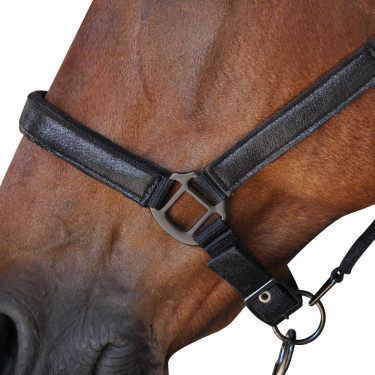 Conjunto de Cilha + Rédea Canter Conjunto de Cilha + Rédea Canter