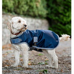 Manta terapêutica para cão Horseware Ionic 50g Azul imperial / prata e marinho